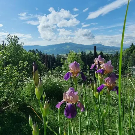 U Babci Gieni Casa vacanze Cisiec