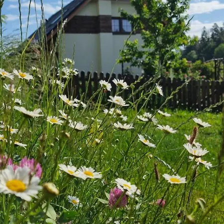 U Babci Gieni Cisiec