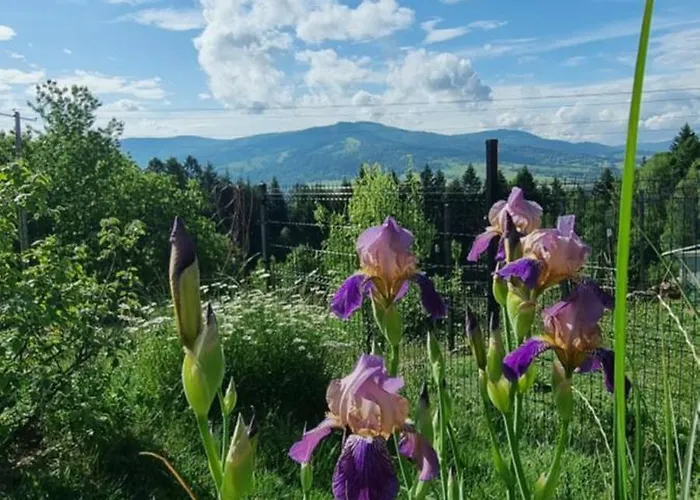 U Babci Gieni בית נופש Cisiec