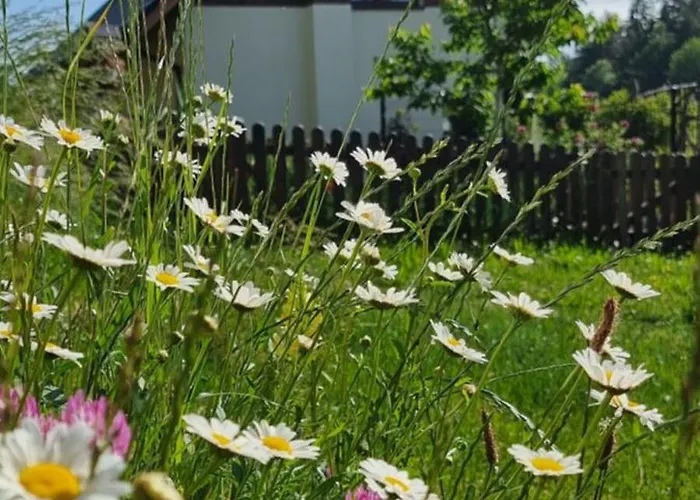 U Babci Gieni Cisiec